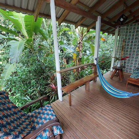Casa Lina Sloth View Exotic Apartment With Privat Kitchen Puerto Viejo de Talamanca Ngoại thất bức ảnh