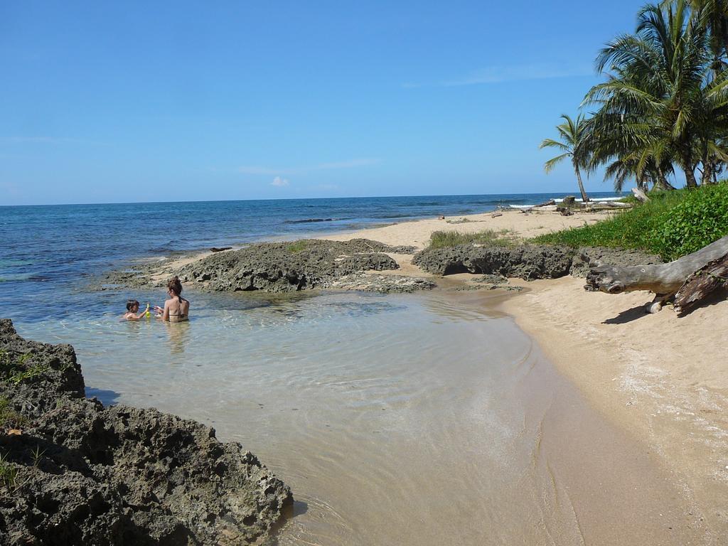 Casa Lina Sloth View Exotic Apartment With Privat Kitchen Puerto Viejo de Talamanca Phòng bức ảnh