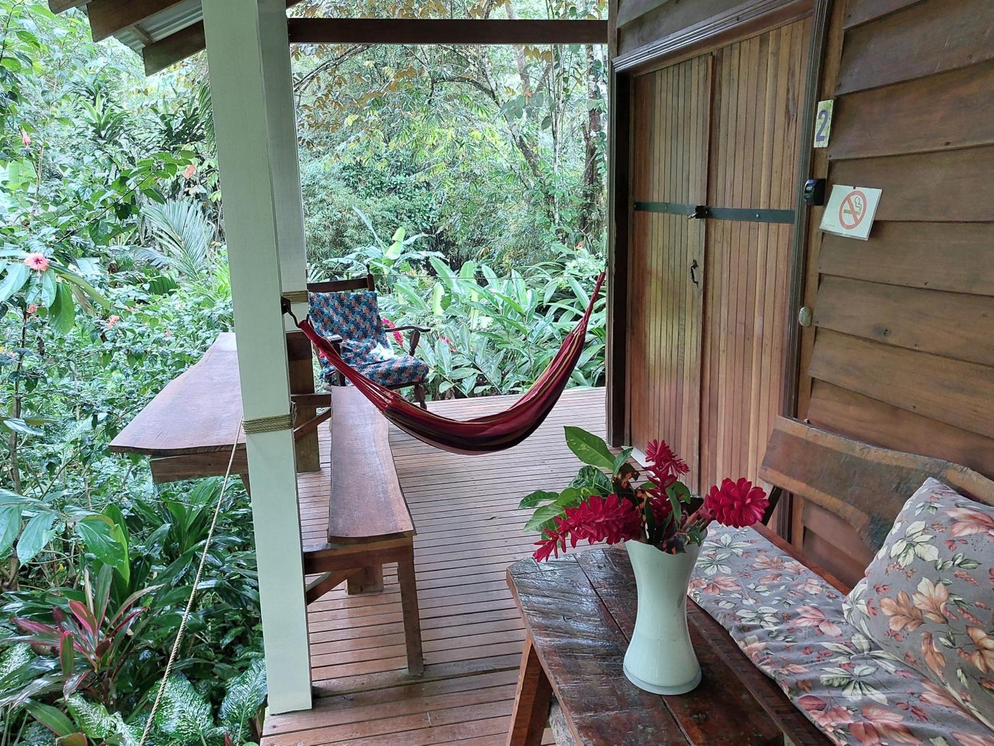 Casa Lina Sloth View Exotic Apartment With Privat Kitchen Puerto Viejo de Talamanca Ngoại thất bức ảnh