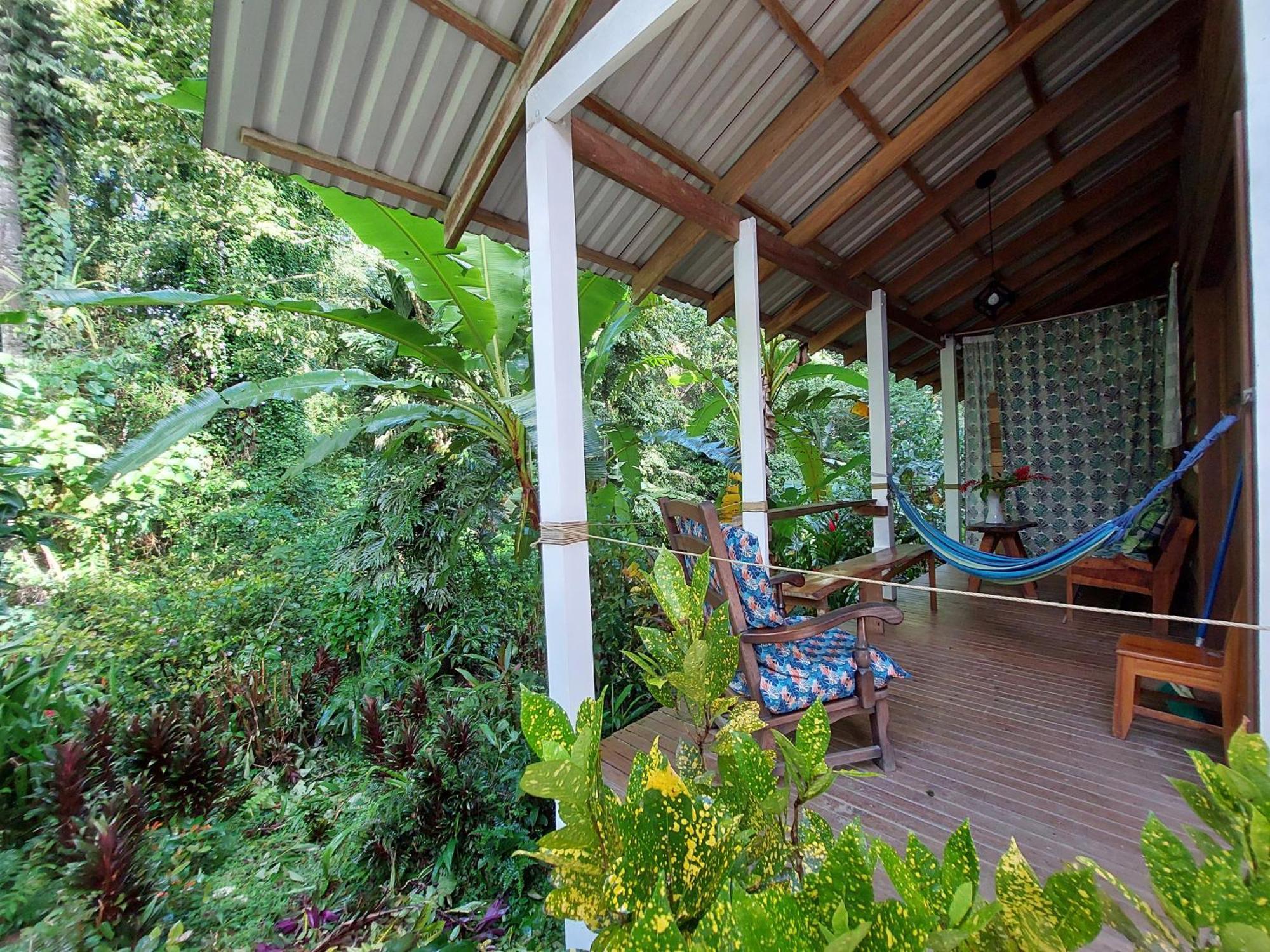 Casa Lina Sloth View Exotic Apartment With Privat Kitchen Puerto Viejo de Talamanca Ngoại thất bức ảnh