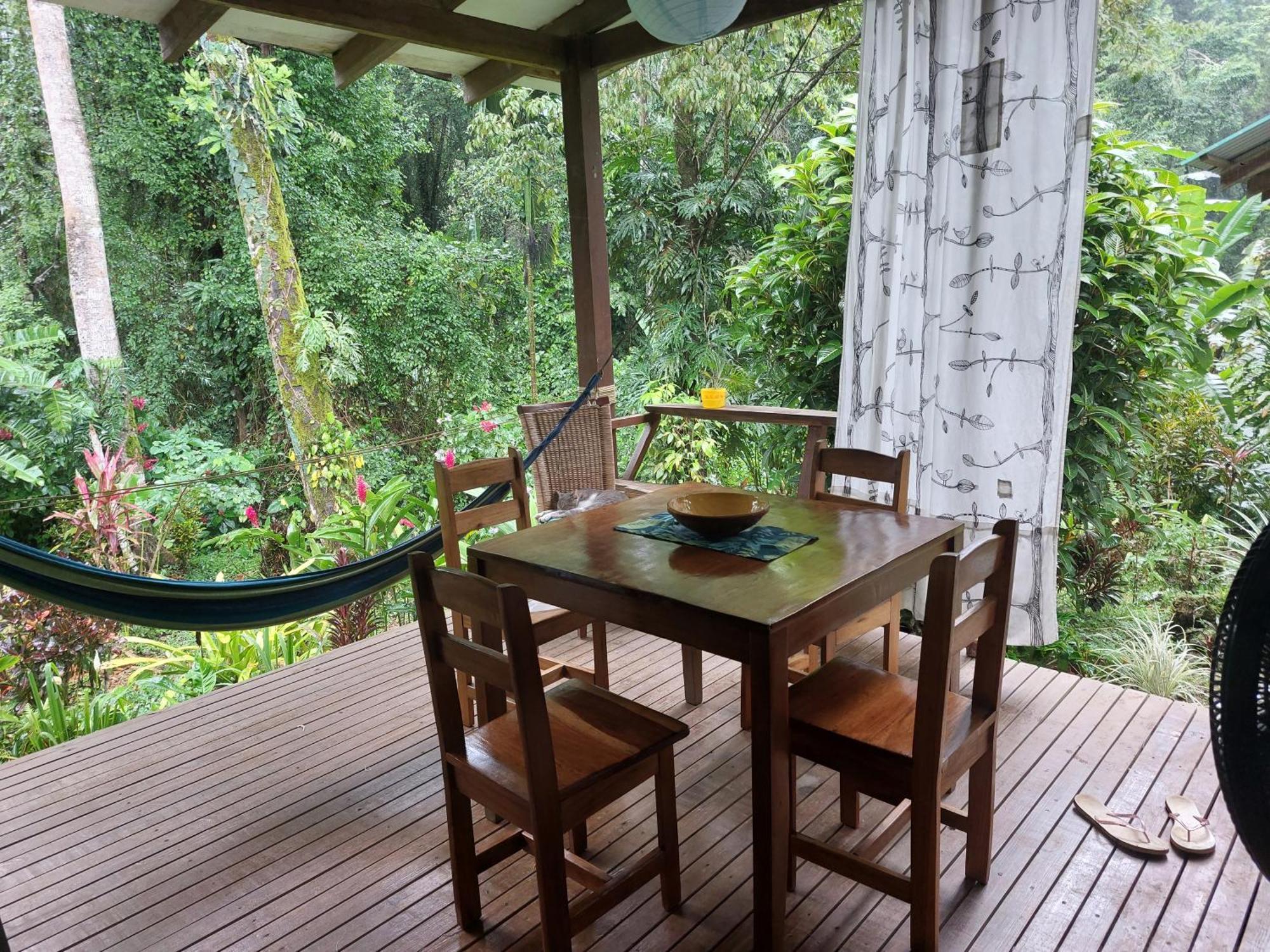 Casa Lina Sloth View Exotic Apartment With Privat Kitchen Puerto Viejo de Talamanca Ngoại thất bức ảnh
