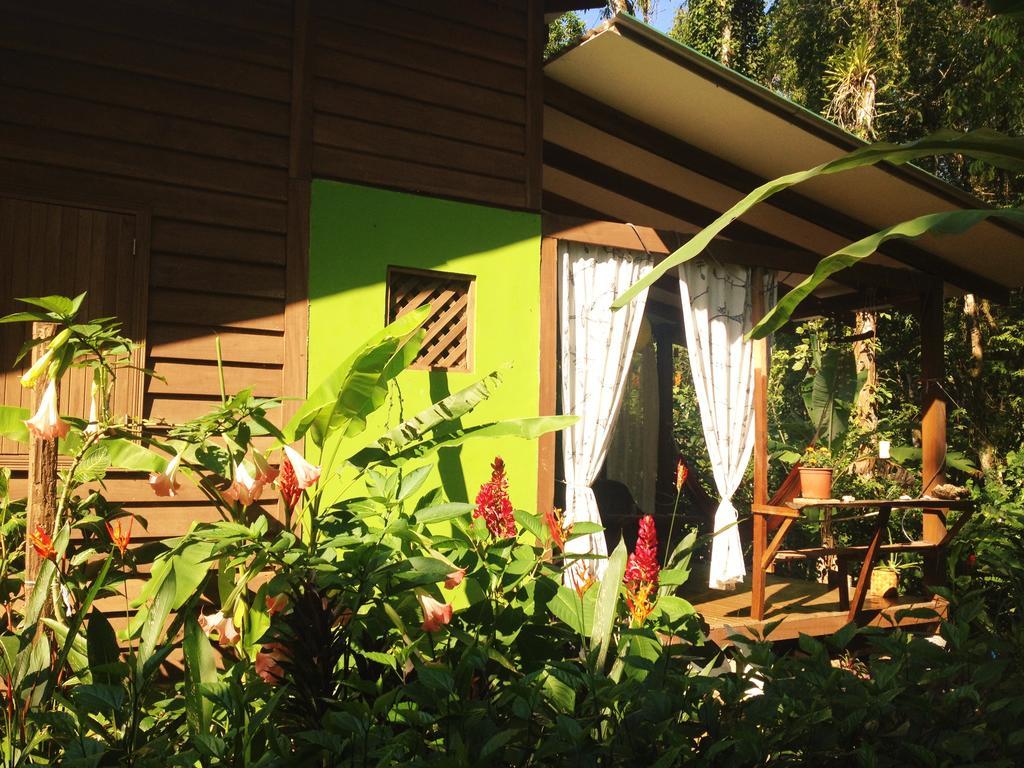 Casa Lina Sloth View Exotic Apartment With Privat Kitchen Puerto Viejo de Talamanca Ngoại thất bức ảnh