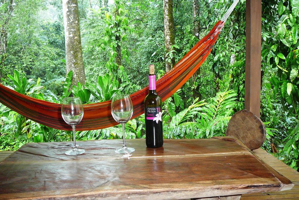 Casa Lina Sloth View Exotic Apartment With Privat Kitchen Puerto Viejo de Talamanca Phòng bức ảnh