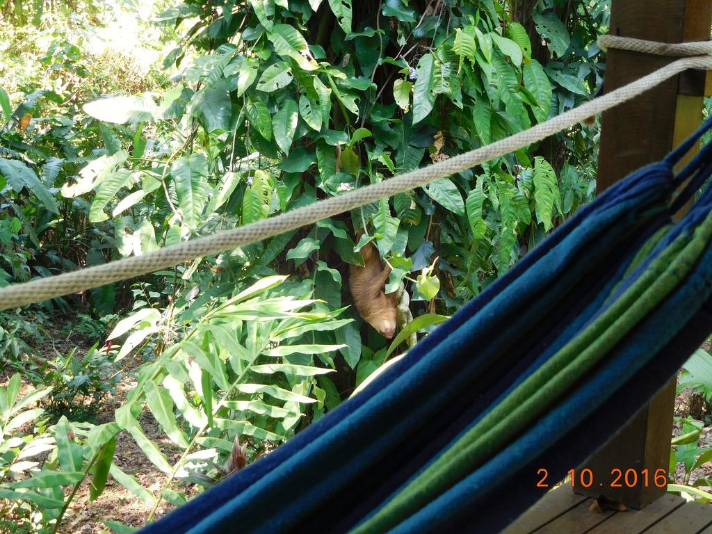 Casa Lina Sloth View Exotic Apartment With Privat Kitchen Puerto Viejo de Talamanca Ngoại thất bức ảnh