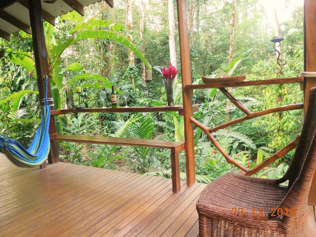 Casa Lina Sloth View Exotic Apartment With Privat Kitchen Puerto Viejo de Talamanca Ngoại thất bức ảnh