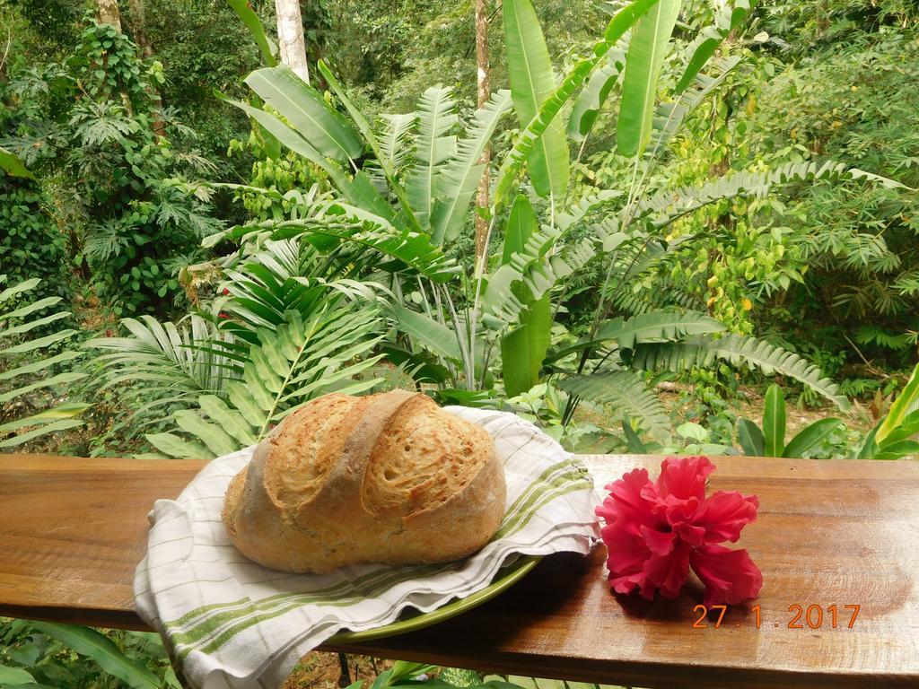 Casa Lina Sloth View Exotic Apartment With Privat Kitchen Puerto Viejo de Talamanca Ngoại thất bức ảnh