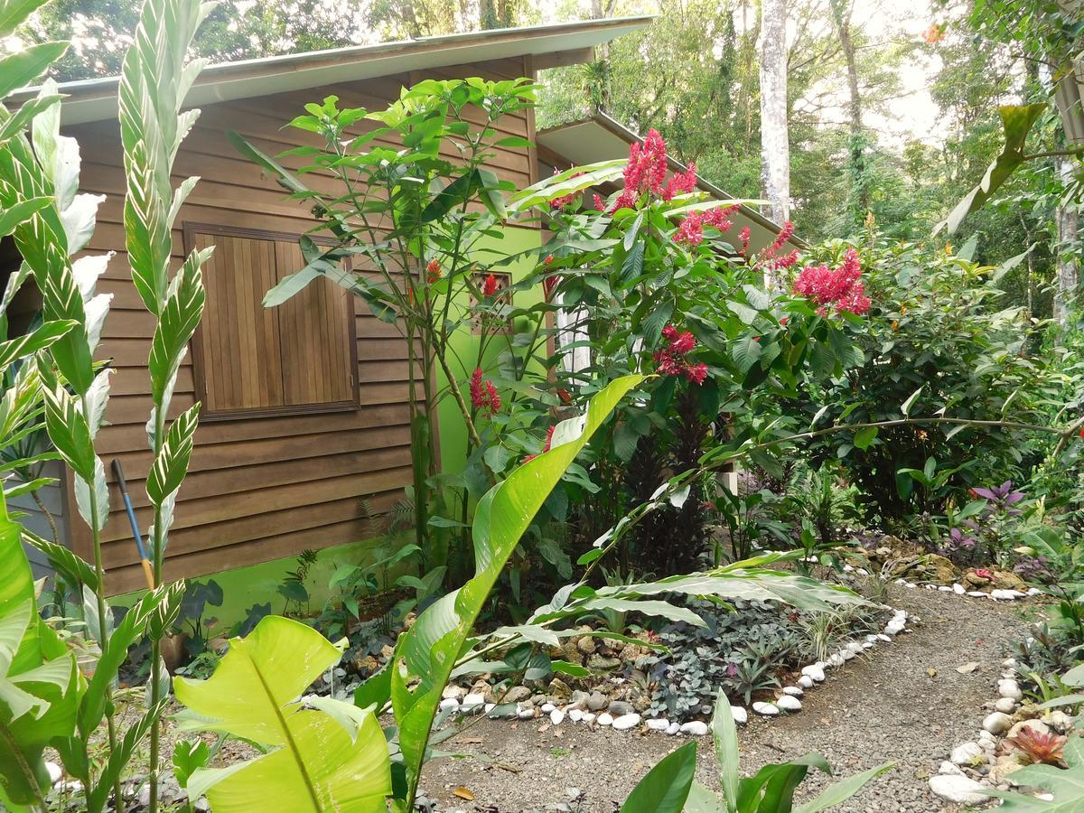 Casa Lina Sloth View Exotic Apartment With Privat Kitchen Puerto Viejo de Talamanca Ngoại thất bức ảnh