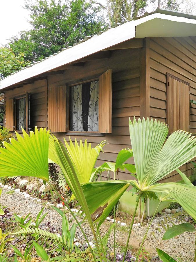 Casa Lina Sloth View Exotic Apartment With Privat Kitchen Puerto Viejo de Talamanca Ngoại thất bức ảnh