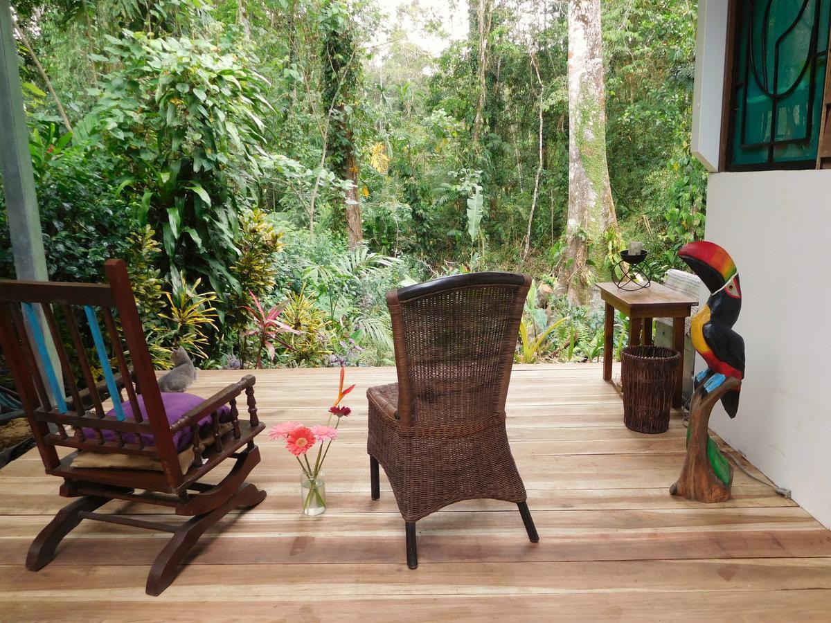Casa Lina Sloth View Exotic Apartment With Privat Kitchen Puerto Viejo de Talamanca Ngoại thất bức ảnh